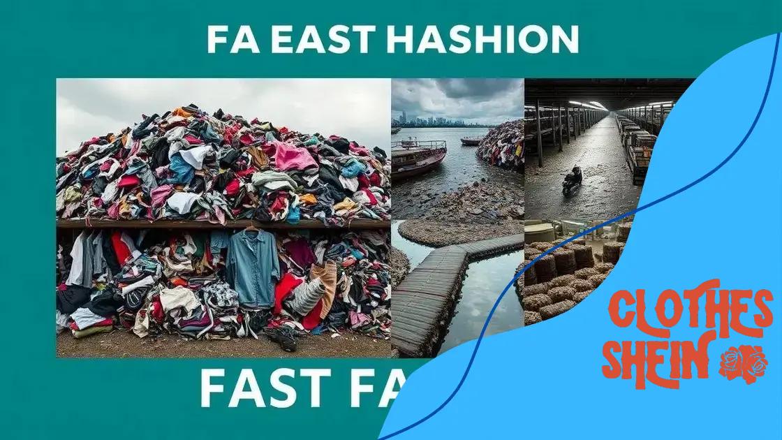 The environmental impact of Shein