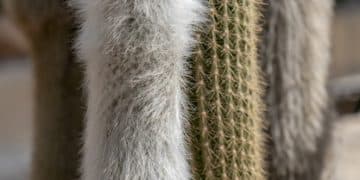 ¿Cómo Identificar Ropa SHEIN de Buena Calidad? Guía 2024 - Cover Image