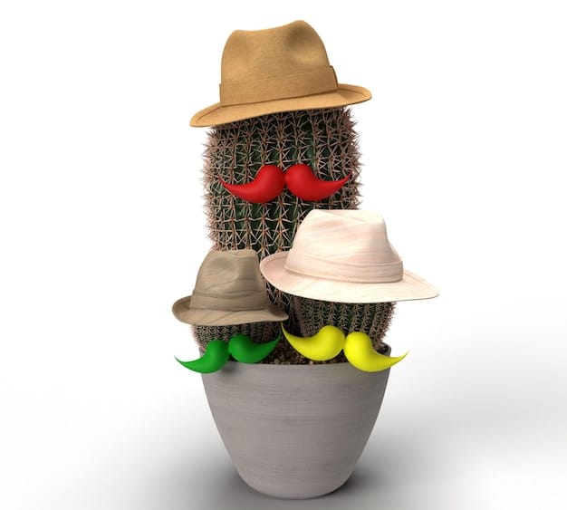 A collage of different hats and caps from SHEIN, including a wide brimmed sun hat, a baseball cap, a beret, and a beanie. The hats are in various colors and styles.