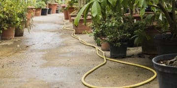 Jardín resistente a sequía